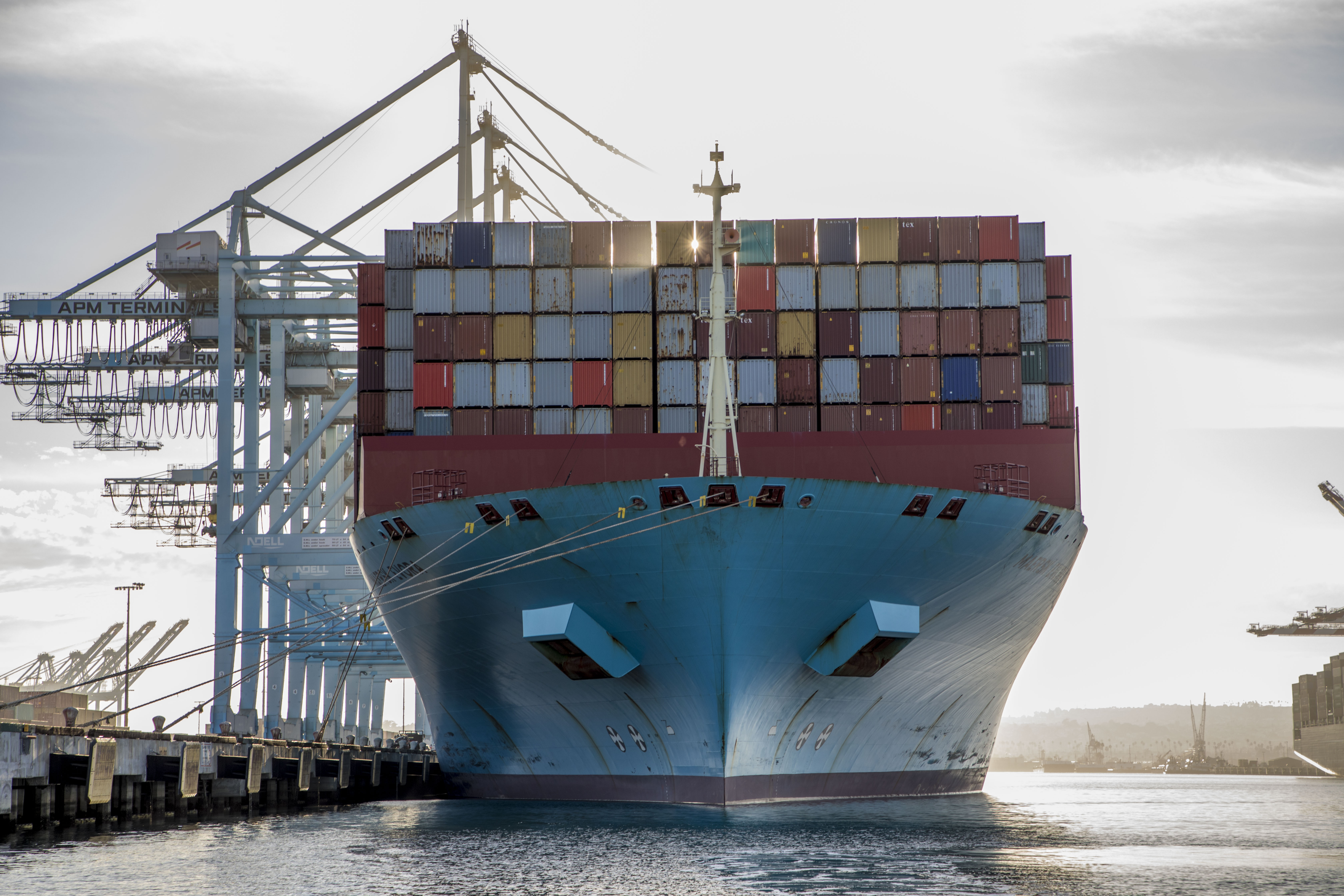 Container ship docked at the Port of Los Angeles