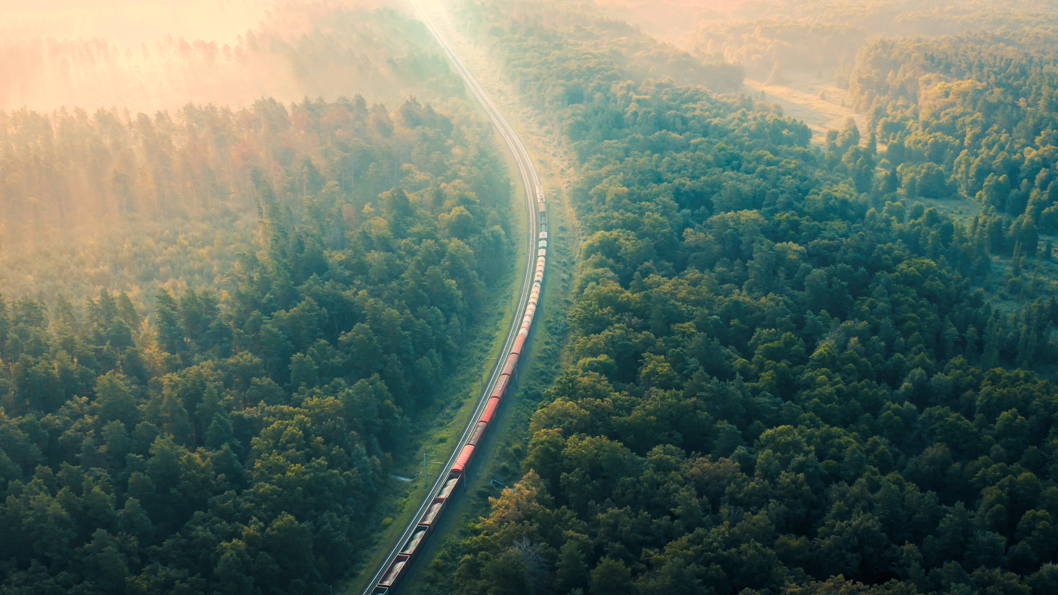 An aerial photograph showing a freight train traveling through a thick forest amid some fog.